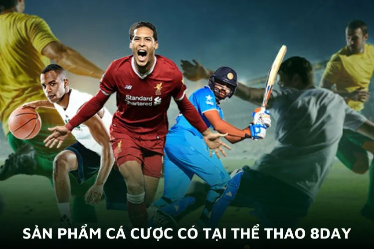 Thể thao 8day